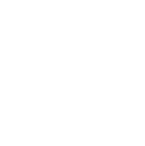 Logo Branca - Doula Brasil