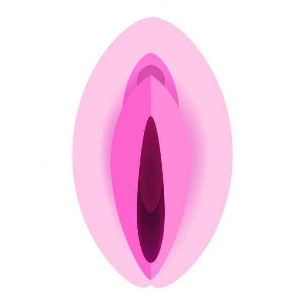 Ilustração de abertura vaginal