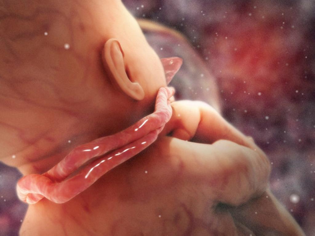 A circular de cordão, também conhecida como cordão nucal, é uma condição na qual o cordão umbilical fica enrolado ao redor do pescoço do bebê.